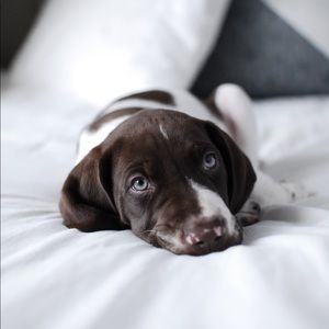 Meet your Posher, Sherri